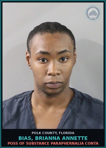 CCW arrest card for BIAS, BRIANNA ANNETTE in Polk County: Canna POSSESS Not More Than 20