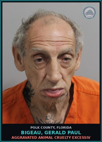CCW arrest card for BIGEAU, GERALD PAUL in Polk County: Aggravated Animal Cruelty Excessiv