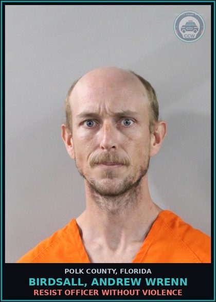 CCW arrest card for BIRDSALL, ANDREW WRENN in Polk County: Resist Officer without Violence