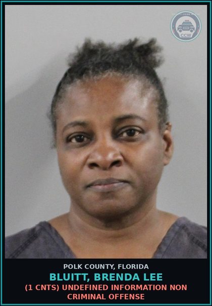 CCW arrest card for BLUITT, BRENDA LEE in Polk County: (1 cnts) undefined Information Non Criminal Offense