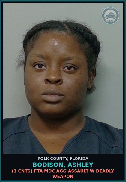 CCW arrest card for BODISON, ASHLEY in Polk County: (1 cnts) FTA MDC RESIST OFFICER W VIOLENCE
