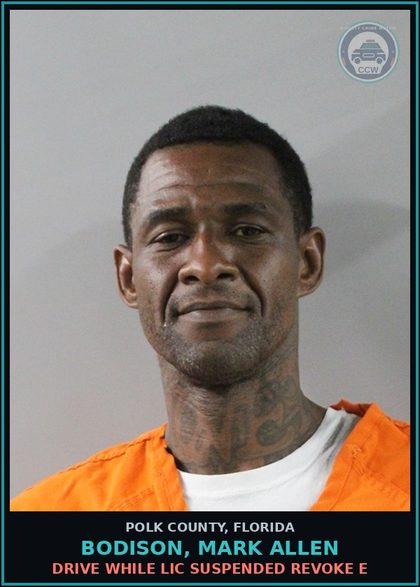CCW arrest card for BODISON, MARK ALLEN in Polk County: Drive While Lic Suspended Revoke E