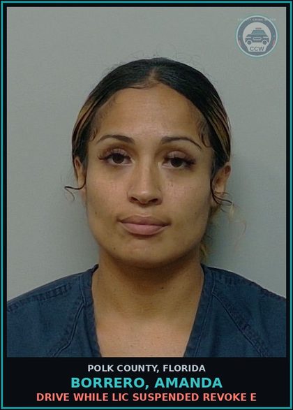 CCW arrest card for BORRERO, AMANDA in Polk County: Drive While Lic Suspended Revoke E
