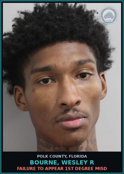 CCW arrest card for BOURNE, WESLEY R in Polk County: FAILURE TO APPEAR 1st Degree Misd