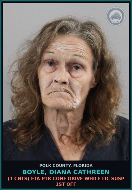 CCW arrest card for BOYLE, DIANA CATHREEN in Polk County: (1 cnts) FTA PTR CONF DRIVE WHILE LIC SUSP 1ST OFF