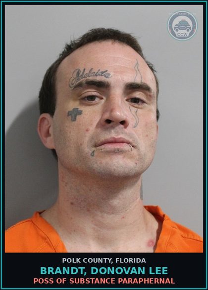 CCW arrest card for BRANDT, DONOVAN LEE in Polk County: POSS OF DRUG PARAPHERNAL