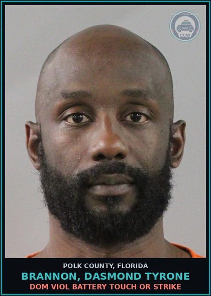 CCW arrest card for BRANNON, DASMOND TYRONE in Polk County: Drive While Lic Suspended Revoke E