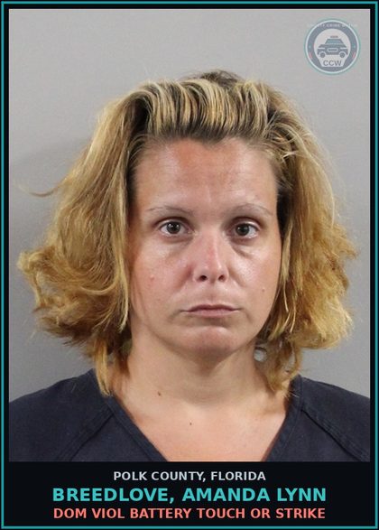 CCW arrest card for BREEDLOVE, AMANDA LYNN in Polk County: Dom Viol Battery Touch or Strike