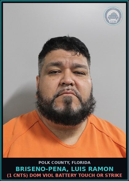 CCW arrest card for BRISENO-PENA, LUIS RAMON in Polk County: (1 cnts) DOM VIOL BATTERY TOUCH OR STRIKE