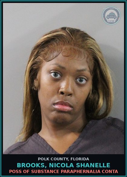 CCW arrest card for BROOKS, NICOLA SHANELLE in Polk County: Canna POSSESS Not More Than 20