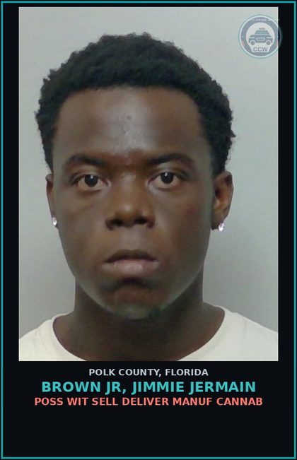 CCW arrest card for BROWN JR, JIMMIE JERMAIN in Polk County: Canna POSSESS Not More Than 20