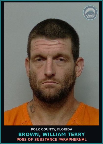 CCW arrest card for BROWN, WILLIAM TERRY in Polk County: Attempted Tampering With Evidence