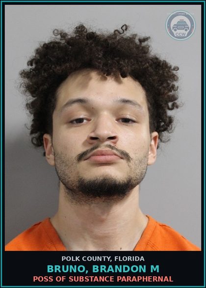 CCW arrest card for BRUNO, BRANDON M in Polk County: Fail to Carry Motor Veh Liability
