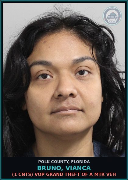 CCW arrest card for BRUNO, VIANCA in Polk County: (1 cnts) VOP GRAND THEFT OF A MTR VEH