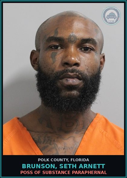 CCW arrest card for BRUNSON, SETH ARNETT in Polk County: Canna POSSESS Not More Than 20