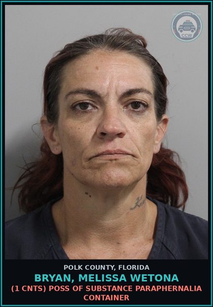 CCW arrest card for BRYAN, MELISSA WETONA in Polk County: Canna POSSESS Not More Than 20