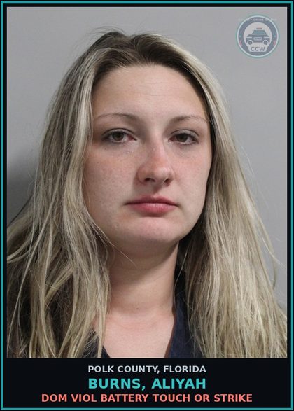 CCW arrest card for BURNS, ALIYAH in Polk County: Dom Viol Battery Touch or Strike