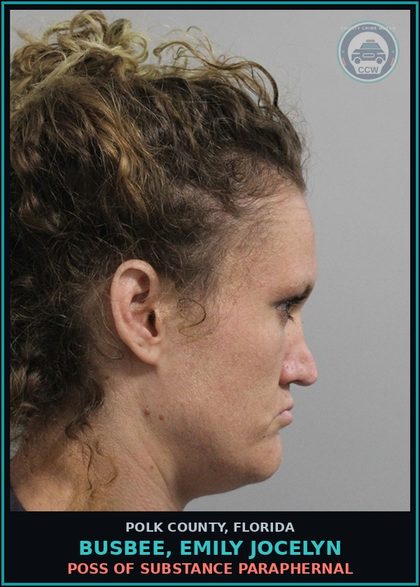 CCW arrest card for BUSBEE, EMILY JOCELYN in Polk County: POSS OF DRUG PARAPHERNAL