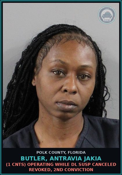 CCW arrest card for BUTLER, ANTRAVIA JAKIA in Polk County: (1 cnts) OPERATING WHILE DL SUSP CANCELED REVOKED, 2ND CONVICTION