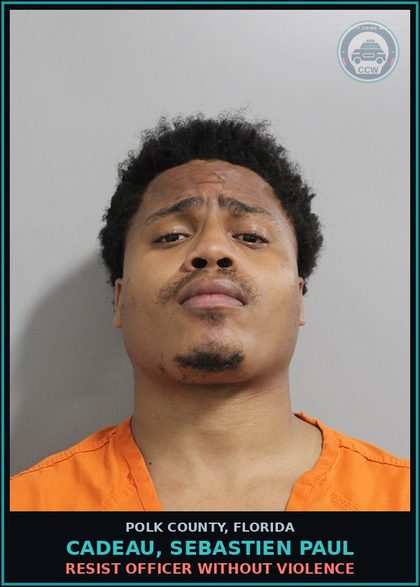 CCW arrest card for CADEAU, SEBASTIEN PAUL in Polk County: Information Non Criminal Offense