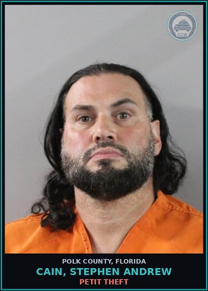 CCW arrest card for CAIN, STEPHEN ANDREW in Polk County: Petit Theft