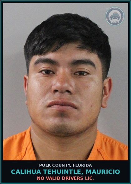 CCW arrest card for CALIHUA TEHUINTLE, MAURICIO in Polk County: No Valid Drivers Lic.