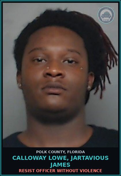 CCW arrest card for CALLOWAY LOWE, JARTAVIOUS JAMES in Polk County: Information Non Criminal Offense
