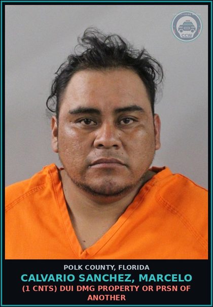CCW arrest card for CALVARIO SANCHEZ, MARCELO in Polk County: No Valid Drivers License
