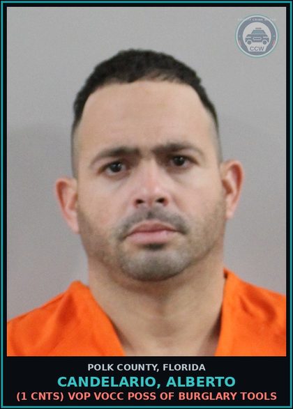 CCW arrest card for CANDELARIO, ALBERTO in Polk County: (1 cnts) VOP VOCC GRAND THEFT MOTOR VEHICLE