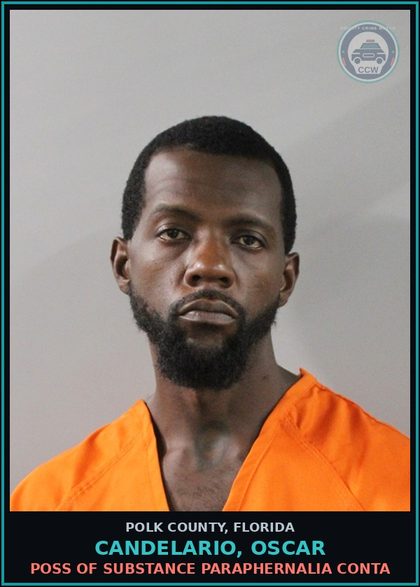 CCW arrest card for CANDELARIO, OSCAR in Polk County: Canna POSSESS Not More Than 20