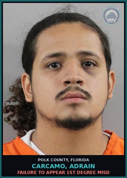 CCW arrest card for CARCAMO, ADRAIN in Polk County: FAILURE TO APPEAR 1st Degree Misd