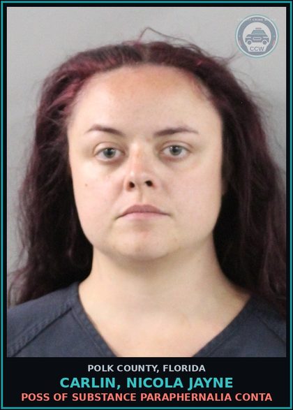 CCW arrest card for CARLIN, NICOLA JAYNE in Polk County: Canna POSSESS Not More Than 20