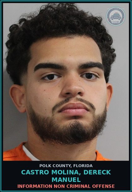 CCW arrest card for CASTRO MOLINA, DERECK MANUEL in Polk County: Information Non Criminal Offense
