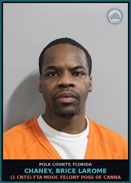 CCW arrest card for CHANEY, BRICE LAROME in Polk County: (1 cnts) FTA MDOC HTO DRIVE W SUSP RVKD LIC SUBSQ OFF