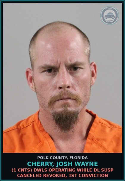 CCW arrest card for CHERRY, JOSH WAYNE in Polk County: (1 cnts) DWLS OPERATING WHILE DL SUSP CANCELED REVOKED, 1ST CONVICTION