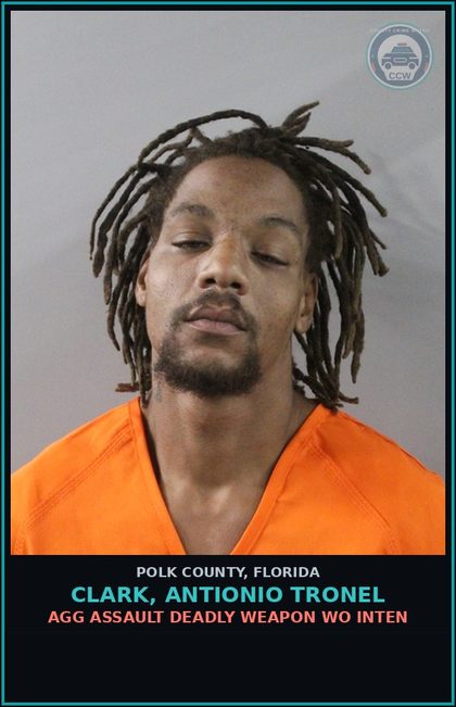 CCW arrest card for CLARK, ANTIONIO TRONEL in Polk County: Canna POSSESS Not More Than 20