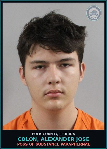 CCW arrest card for COLON, ALEXANDER JOSE in Polk County: POSS OF DRUG PARAPHERNAL