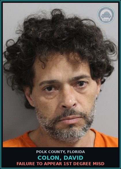 CCW arrest card for COLON, DAVID in Polk County: FAILURE TO APPEAR 1st Degree Misd