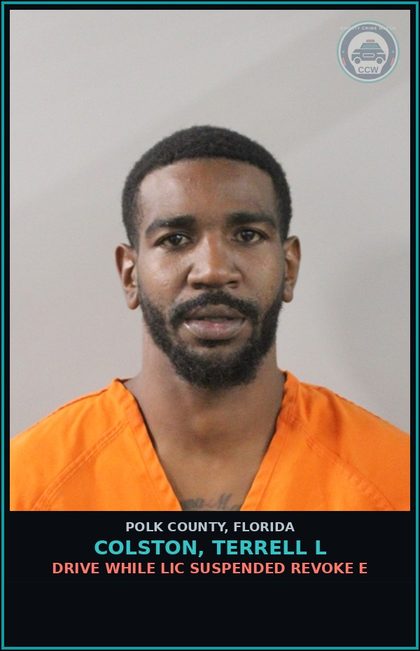 CCW arrest card for COLSTON, TERRELL L in Polk County: Drive While Lic Suspended Revoke E