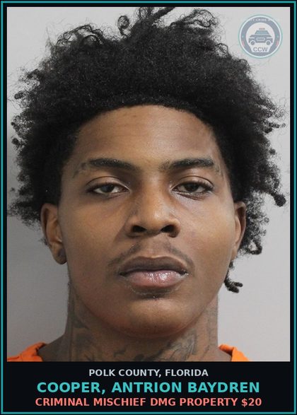 CCW arrest card for COOPER, ANTRION BAYDREN in Polk County: Criminal Mischief Dmg Property $20