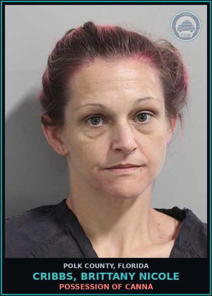 CCW arrest card for CRIBBS, BRITTANY NICOLE in Polk County: POSSESSION OF Canna
