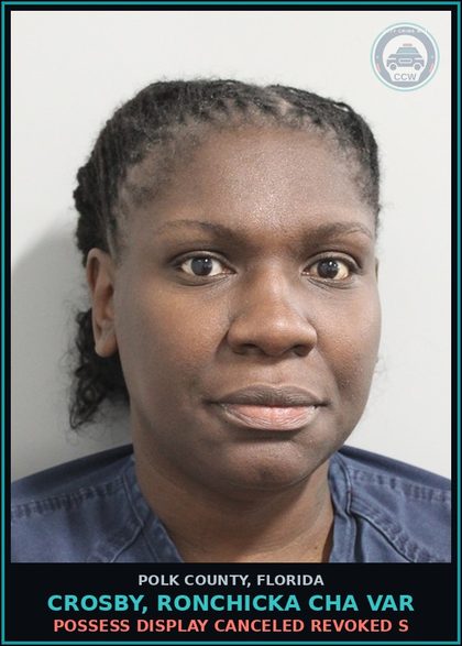 CCW arrest card for CROSBY, RONCHICKA CHA VAR in Polk County: Possess Display Canceled Revoked S