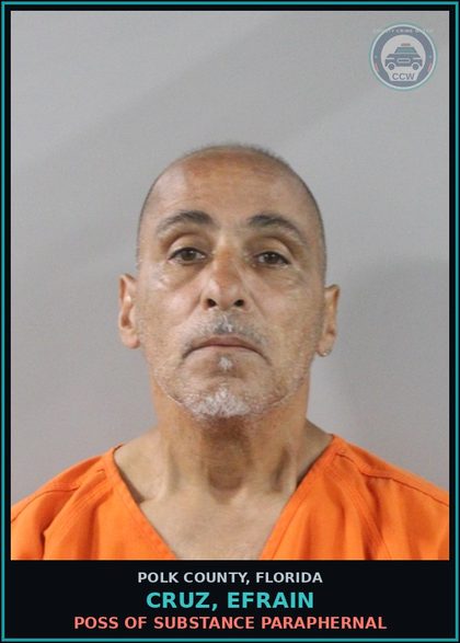 CCW arrest card for CRUZ, EFRAIN in Polk County: Other Viol. Financial Responsibili
