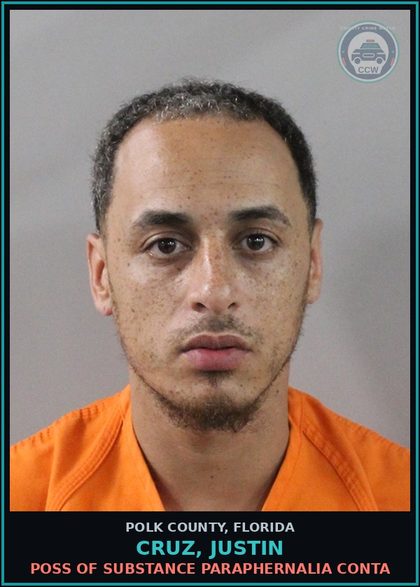 CCW arrest card for CRUZ, JUSTIN in Polk County: Canna POSSESS Not More Than 20