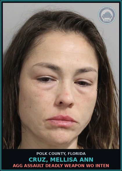 CCW arrest card for CRUZ, MELLISA ANN in Polk County: (1 cnts) LEAVE SCENE OF CRASH INVOLVE PROP DAMAGE