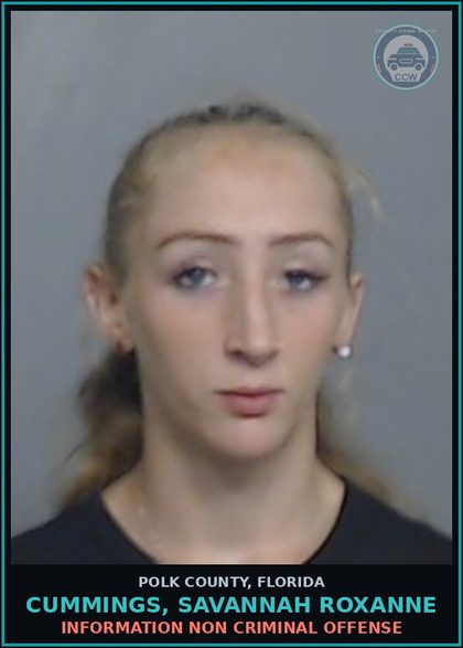 CCW arrest card for CUMMINGS, SAVANNAH ROXANNE in Polk County: Information Non Criminal Offense