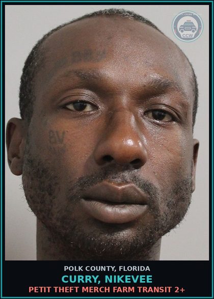 CCW arrest card for CURRY, NIKEVEE in Polk County: Petit Theft Merch Farm Transit 2+