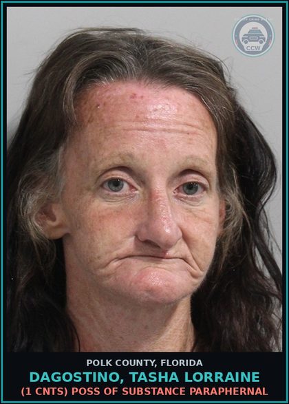 CCW arrest card for DAGOSTINO, TASHA LORRAINE in Polk County: (1 cnts) POSS OF DRUG PARAPHERNAL