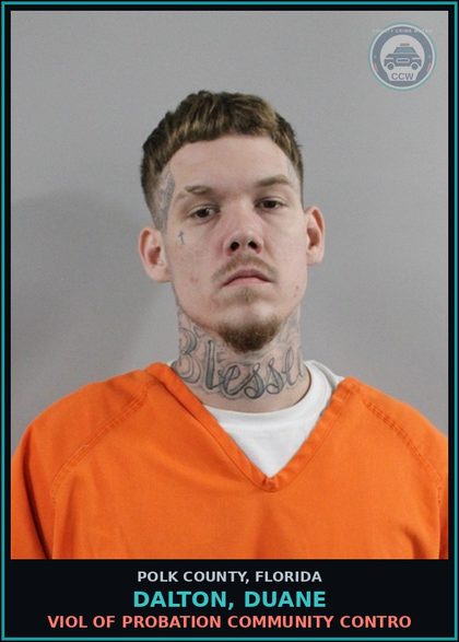 CCW arrest card for DALTON, DUANE in Polk County: Viol of Probation Community Contro