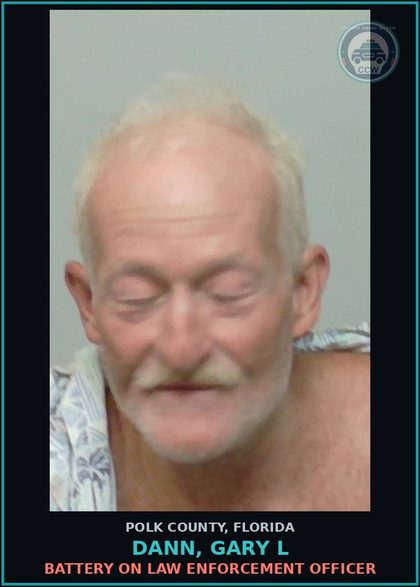 CCW arrest card for DANN, GARY L in Polk County: Battery on Law Enforcement Officer